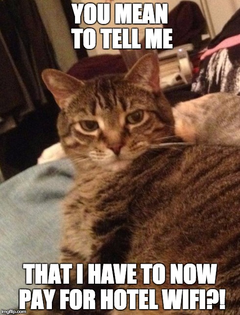 YOU MEAN TO TELL ME THAT I HAVE TO NOW PAY FOR HOTEL WIFI?! | image tagged in wilson,cats | made w/ Imgflip meme maker
