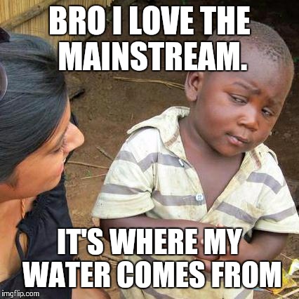 Third World Skeptical Kid Meme | BRO I LOVE THE MAINSTREAM. IT'S WHERE MY WATER COMES FROM | image tagged in memes,third world skeptical kid | made w/ Imgflip meme maker