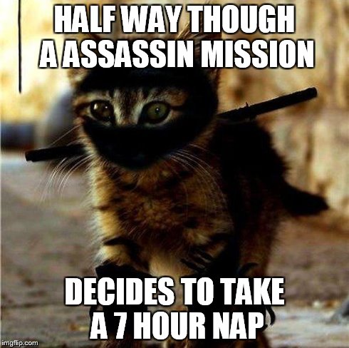 Ninja Cat | HALF WAY THOUGH A ASSASSIN MISSION DECIDES TO TAKE A 7 HOUR NAP | image tagged in ninja cat | made w/ Imgflip meme maker