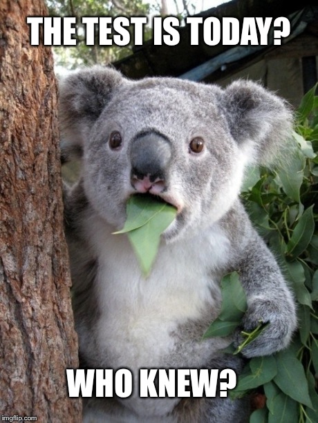 Surprised Koala | THE TEST IS TODAY? WHO KNEW? | image tagged in memes,surprised coala | made w/ Imgflip meme maker
