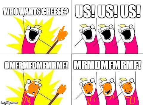 What Do We Want Meme | WHO WANTS CHEESE? US! US! US! DMFRMFDMFMRMF! MRMDMFMRMF! | image tagged in memes,what do we want | made w/ Imgflip meme maker