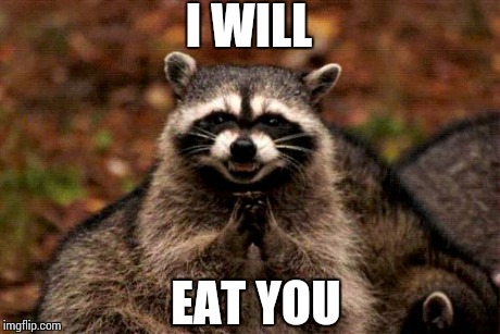 Evil Plotting Raccoon | I WILL EAT YOU | image tagged in memes,evil plotting raccoon | made w/ Imgflip meme maker