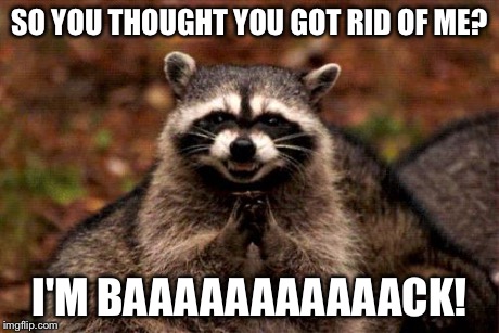 Evil Plotting Raccoon | SO YOU THOUGHT YOU GOT RID OF ME? I'M BAAAAAAAAAAACK! | image tagged in memes,evil plotting raccoon | made w/ Imgflip meme maker