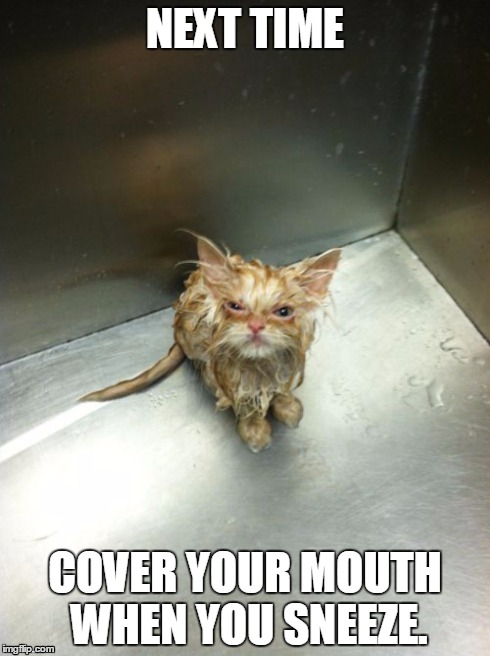 Kill You Cat | NEXT TIME COVER YOUR MOUTH WHEN YOU SNEEZE. | image tagged in memes,kill you cat | made w/ Imgflip meme maker