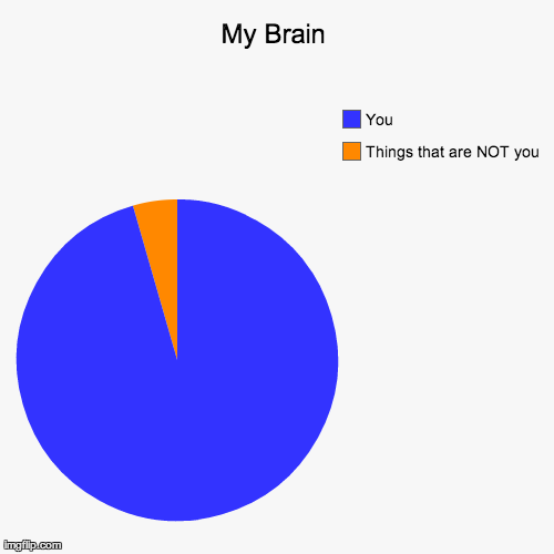 My Brain Things that are NOT you You | image tagged in funny,pie charts | made w/ Imgflip chart maker