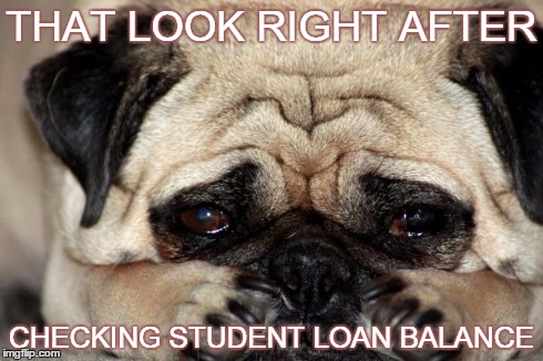 Sad Doggie | THAT LOOK RIGHT AFTER CHECKING STUDENT LOAN BALANCE | image tagged in dog,memes,student,sad dog | made w/ Imgflip meme maker