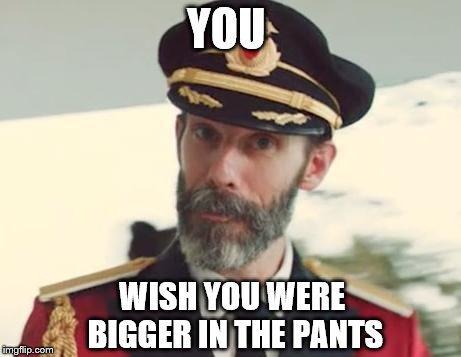 Captain Obvious | YOU WISH YOU WERE BIGGER IN THE PANTS | image tagged in captain obvious | made w/ Imgflip meme maker