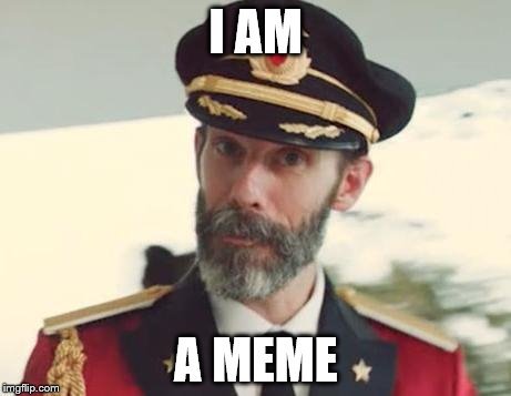 Captain Obvious | I AM A MEME | image tagged in captain obvious | made w/ Imgflip meme maker