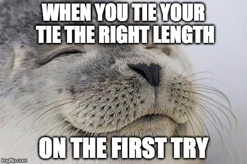 Satisfied Seal | WHEN YOU TIE YOUR TIE THE RIGHT LENGTH ON THE FIRST TRY | image tagged in memes,satisfied seal,AdviceAnimals | made w/ Imgflip meme maker