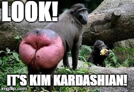 Kim Kardashian's new butt selfie | LOOK! IT'S KIM KARDASHIAN! | image tagged in kim kardashian's new butt selfie,kim kardashian | made w/ Imgflip meme maker