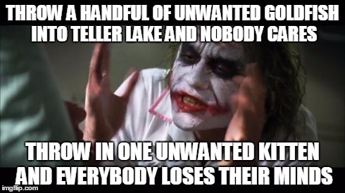 You will dislike this meme, I guarantee it | THROW A HANDFUL OF UNWANTED GOLDFISH INTO TELLER LAKE AND NOBODY CARES THROW IN ONE UNWANTED KITTEN AND EVERYBODY LOSES THEIR MINDS | image tagged in memes,and everybody loses their minds | made w/ Imgflip meme maker