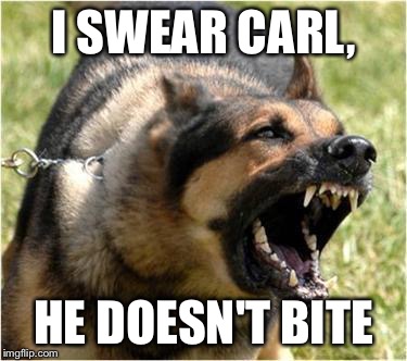 Angry Dog | I SWEAR CARL, HE DOESN'T BITE | image tagged in angry dog | made w/ Imgflip meme maker