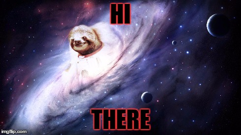 HI THERE | HI THERE | image tagged in sloths,the univers | made w/ Imgflip meme maker