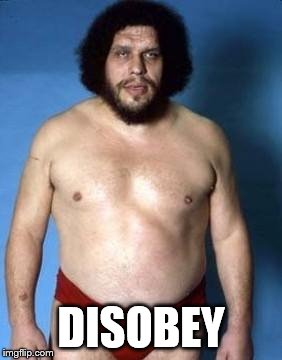 DISOBEY | image tagged in disobey,obey,andre the giant,wwf,obey logo | made w/ Imgflip meme maker