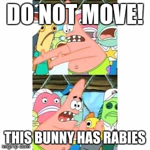 Patrick's FNAF Plan | DO NOT MOVE! THIS BUNNY HAS RABIES | image tagged in patrick's fnaf plan,put it somewhere else patrick | made w/ Imgflip meme maker