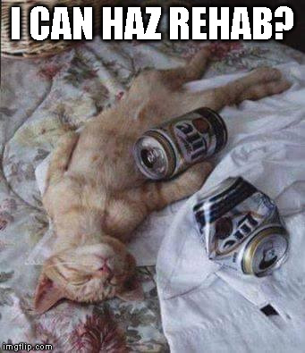 I can haz rehab? | I CAN HAZ REHAB? | image tagged in alcoholic kitty,you're drunk | made w/ Imgflip meme maker