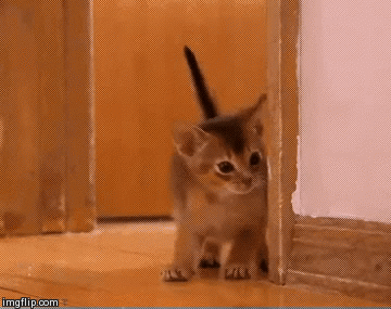 k0b47.gif