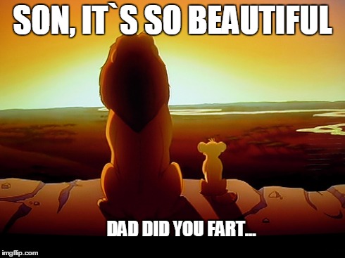 Lion King | SON, IT`S SO BEAUTIFUL DAD DID YOU FART... | image tagged in memes,lion king | made w/ Imgflip meme maker