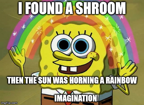 Imagination Spongebob | I FOUND A SHROOM THEN THE SUN WAS HORNING A RAINBOW                                         IMAGINATION | image tagged in memes,imagination spongebob | made w/ Imgflip meme maker