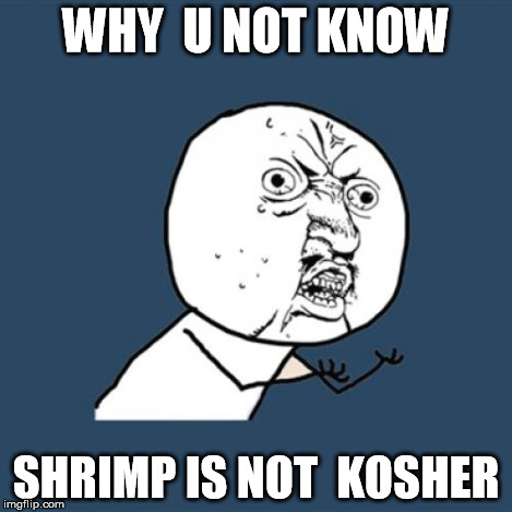 Y U No Meme | WHY  U NOT KNOW SHRIMP IS NOT  KOSHER | image tagged in memes,y u no | made w/ Imgflip meme maker