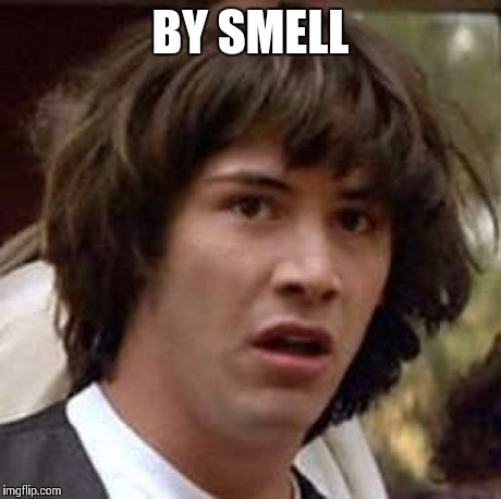 Conspiracy Keanu Meme | BY SMELL | image tagged in memes,conspiracy keanu | made w/ Imgflip meme maker