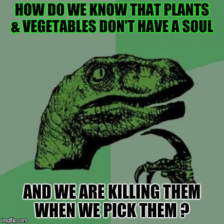 Philosoraptor Meme | HOW DO WE KNOW THAT PLANTS & VEGETABLES DON'T HAVE A SOUL AND WE ARE KILLING THEM WHEN WE PICK THEM ? | image tagged in memes,philosoraptor | made w/ Imgflip meme maker