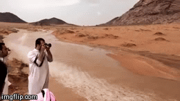 image tagged in gifs | made w/ Imgflip video-to-gif maker