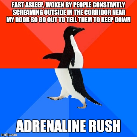 Socially Awesome Awkward Penguin | FAST ASLEEP, WOKEN BY PEOPLE CONSTANTLY SCREAMING OUTSIDE IN THE CORRIDOR NEAR MY DOOR SO GO OUT TO TELL THEM TO KEEP DOWN ADRENALINE RUSH | image tagged in memes,socially awesome awkward penguin | made w/ Imgflip meme maker
