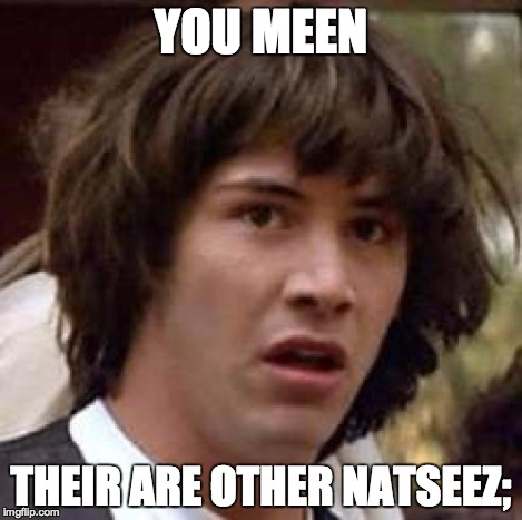Conspiracy Keanu Meme | YOU MEEN THEIR ARE OTHER NATSEEZ; | image tagged in memes,conspiracy keanu | made w/ Imgflip meme maker