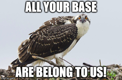 ALL YOUR BASE ARE BELONG TO US! | made w/ Imgflip meme maker