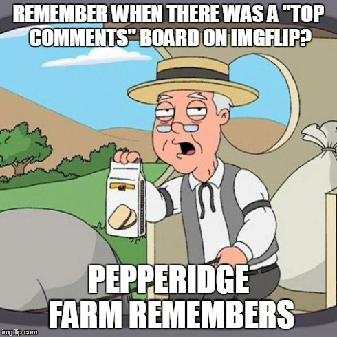 But seriously, it was there for like two days. I even got on it once! Where did it go?? | REMEMBER WHEN THERE WAS A "TOP COMMENTS" BOARD ON IMGFLIP? PEPPERIDGE FARM REMEMBERS | image tagged in memes,pepperidge farm remembers | made w/ Imgflip meme maker