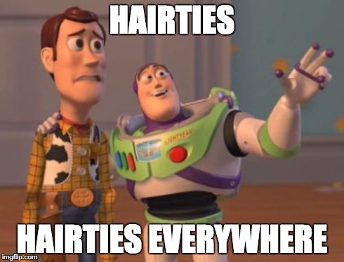 X, X Everywhere Meme | HAIRTIES HAIRTIES EVERYWHERE | image tagged in memes,x x everywhere,TrollYChromosome | made w/ Imgflip meme maker