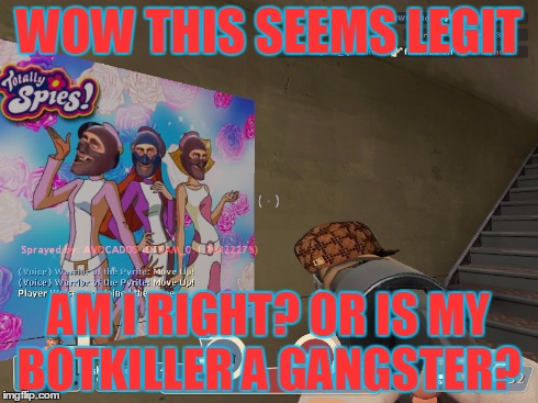 Legit Spray in Tf2 | WOW THIS SEEMS LEGIT AM I RIGHT? OR IS MY BOTKILLER A GANGSTER? | image tagged in seems legit,tf2 | made w/ Imgflip meme maker