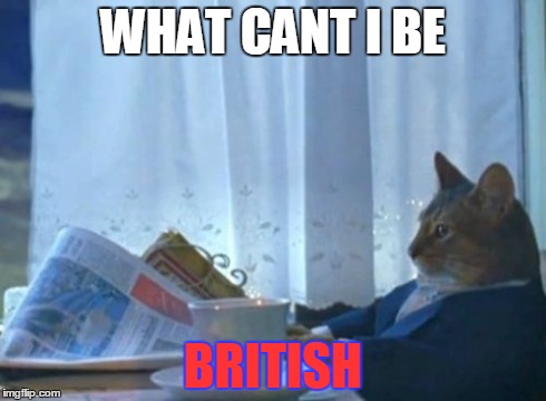 I Should Buy A Boat Cat | WHAT CANT I BE BRITISH | image tagged in memes,i should buy a boat cat | made w/ Imgflip meme maker