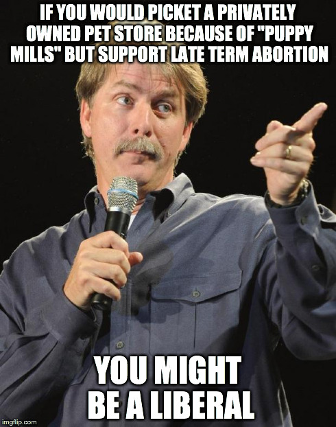 Jeff Foxworthy | IF YOU WOULD PICKET A PRIVATELY OWNED PET STORE BECAUSE OF "PUPPY MILLS" BUT SUPPORT LATE TERM ABORTION YOU MIGHT BE A LIBERAL | image tagged in jeff foxworthy,politics | made w/ Imgflip meme maker
