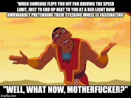 WELL??? | *WHEN SOMEONE FLIPS YOU OFF FOR DRIVING THE SPEED LIMIT, JUST TO END UP NEXT TO YOU AT A RED LIGHT NOW AWKWARDLY PRETENDING THEIR STEERING W | image tagged in well | made w/ Imgflip meme maker
