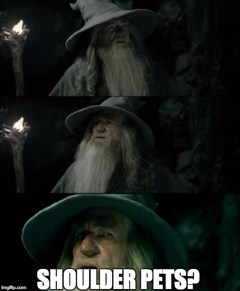 Confused Gandalf | SHOULDER PETS? | image tagged in memes,confused gandalf | made w/ Imgflip meme maker