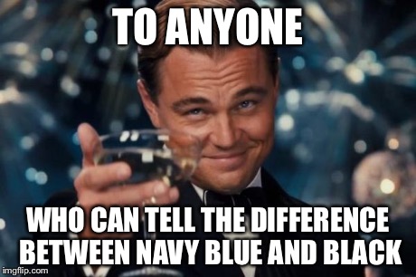 Leonardo Dicaprio Cheers | TO ANYONE WHO CAN TELL THE DIFFERENCE BETWEEN NAVY BLUE AND BLACK | image tagged in memes,leonardo dicaprio cheers | made w/ Imgflip meme maker