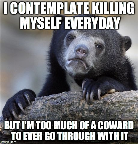 Confession Bear Meme | I CONTEMPLATE KILLING MYSELF EVERYDAY BUT I'M TOO MUCH OF A COWARD TO EVER GO THROUGH WITH IT | image tagged in memes,confession bear | made w/ Imgflip meme maker