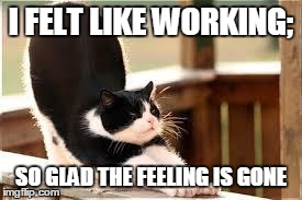 I FELT LIKE WORKING; SO GLAD THE FEELING IS GONE | image tagged in scretching cat | made w/ Imgflip meme maker