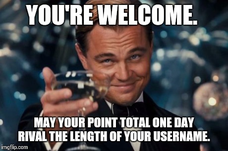 Leonardo Dicaprio Cheers Meme | YOU'RE WELCOME. MAY YOUR POINT TOTAL ONE DAY RIVAL THE LENGTH OF YOUR USERNAME. | image tagged in memes,leonardo dicaprio cheers | made w/ Imgflip meme maker