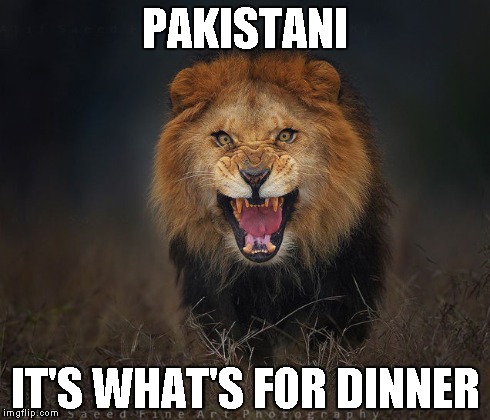 Famous Last Photo | PAKISTANI IT'S WHAT'S FOR DINNER | image tagged in pakistani,lion,dinner | made w/ Imgflip meme maker