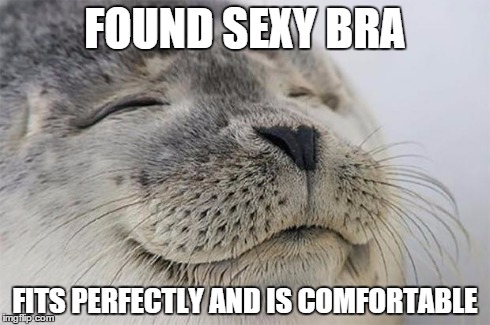 Satisfied Seal | FOUND SEXY BRA FITS PERFECTLY AND IS COMFORTABLE | image tagged in memes,satisfied seal,AdviceAnimals | made w/ Imgflip meme maker