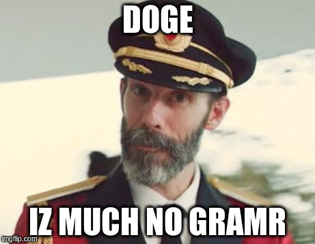 Captain Obvious | DOGE IZ MUCH NO GRAMR | image tagged in captain obvious | made w/ Imgflip meme maker