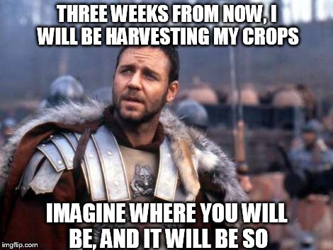 THREE WEEKS FROM NOW, I WILL BE HARVESTING MY CROPS IMAGINE WHERE YOU WILL BE, AND IT WILL BE SO | image tagged in russell crowe | made w/ Imgflip meme maker