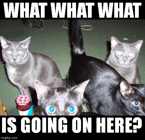 WHAT WHAT WHAT IS GOING ON HERE? | image tagged in suspiscious | made w/ Imgflip meme maker