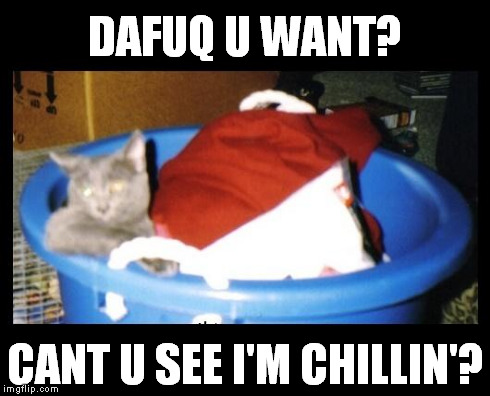 DAFUQ U WANT? CANT U SEE I'M CHILLIN'? | image tagged in what | made w/ Imgflip meme maker