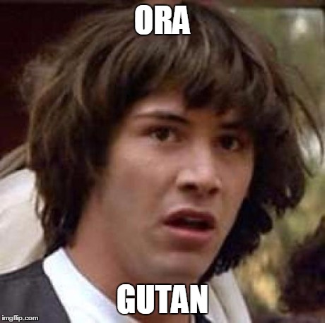 Conspiracy Keanu Meme | ORA GUTAN | image tagged in memes,conspiracy keanu | made w/ Imgflip meme maker
