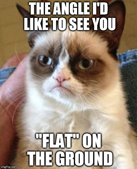 Grumpy Cat Meme | THE ANGLE I'D LIKE TO SEE YOU "FLAT" ON THE GROUND | image tagged in memes,grumpy cat | made w/ Imgflip meme maker