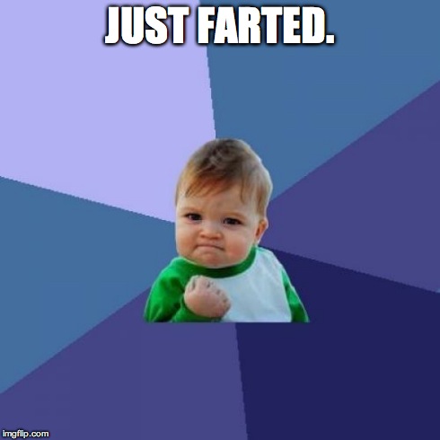 Success Kid | JUST FARTED. | image tagged in memes,success kid | made w/ Imgflip meme maker